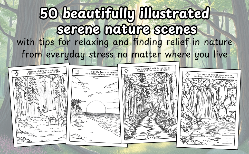 50 Beautifully illustrated serene nature scenes