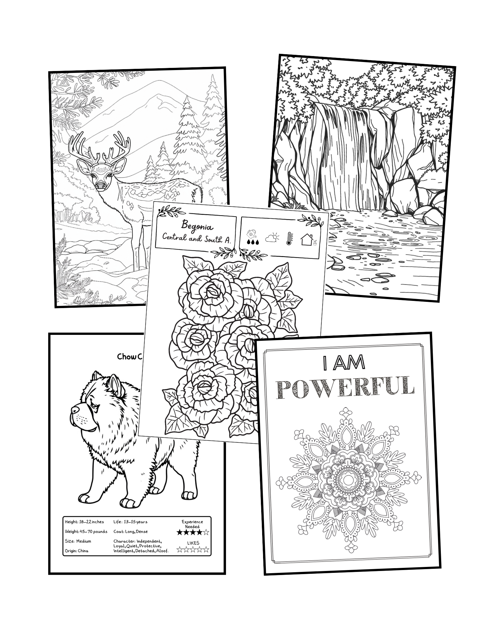 Relax & Create: 10 Coloring Pages for Adults and Kids